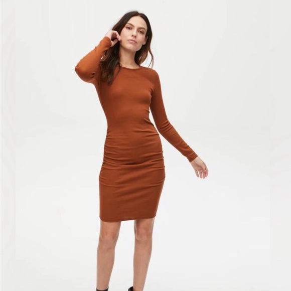 Michael Stars Jordan Mini Dress, size S, Color: Toffee - Picture 7 of 8